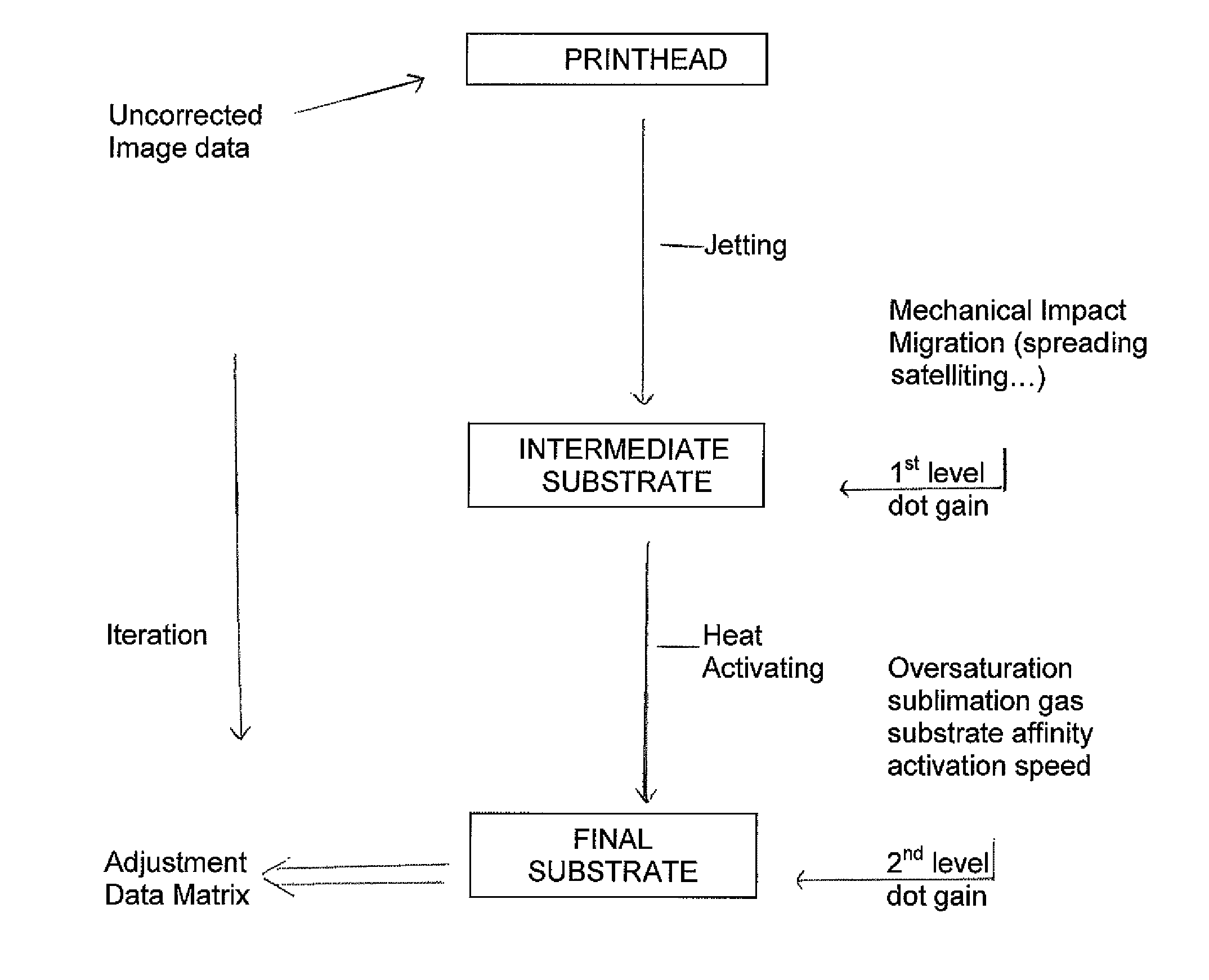 Digital customizer system and method