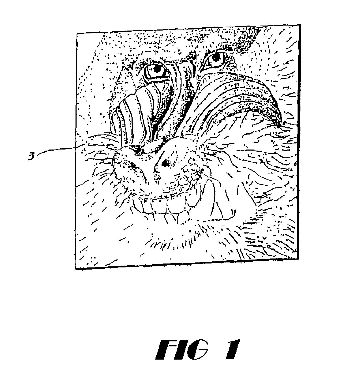 Digital customizer system and method