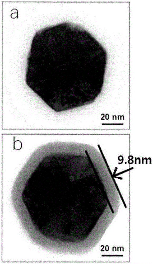 Targeting drug carrier and preparation method and application thereof