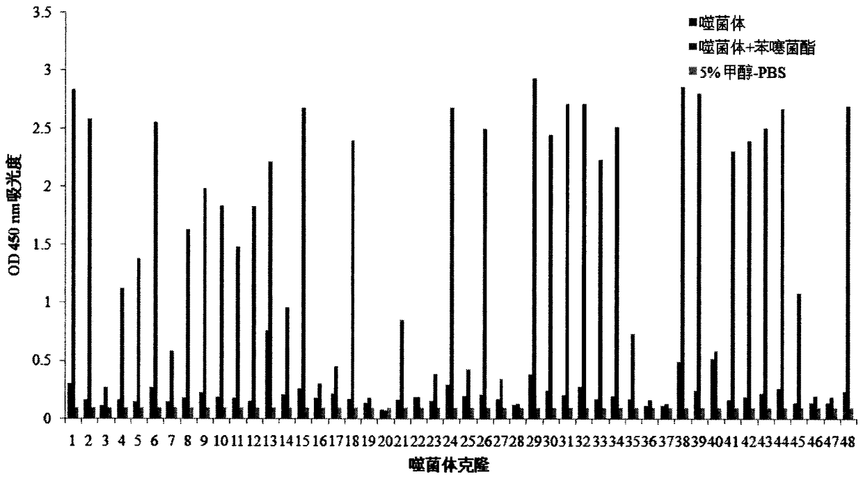 Polypeptide specifically bound to benzathystrobin immune complex and use thereof