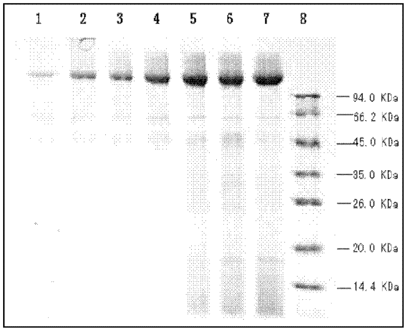 Improved beta-glucosidase gene and preparation of recombinase thereof