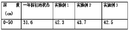 Ion repair liquid preparation method