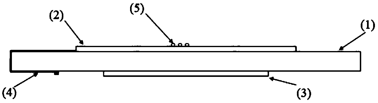 Quartz crystal microbalance (QCM) and localized surface plasmon resonance (LSPR) biosensor with transparent electrode