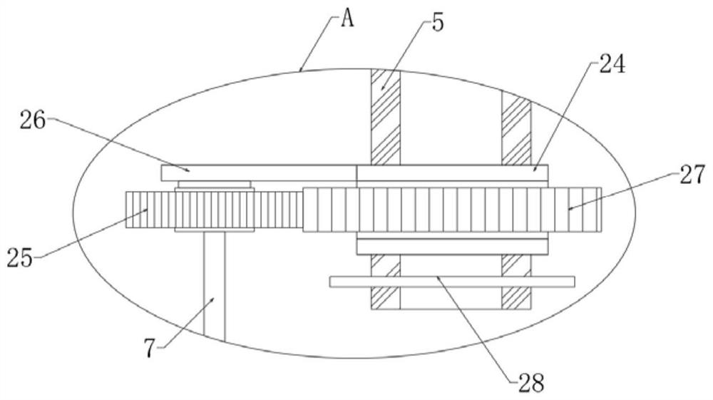 Screening equipment with automatic rice gathering and conveying functions