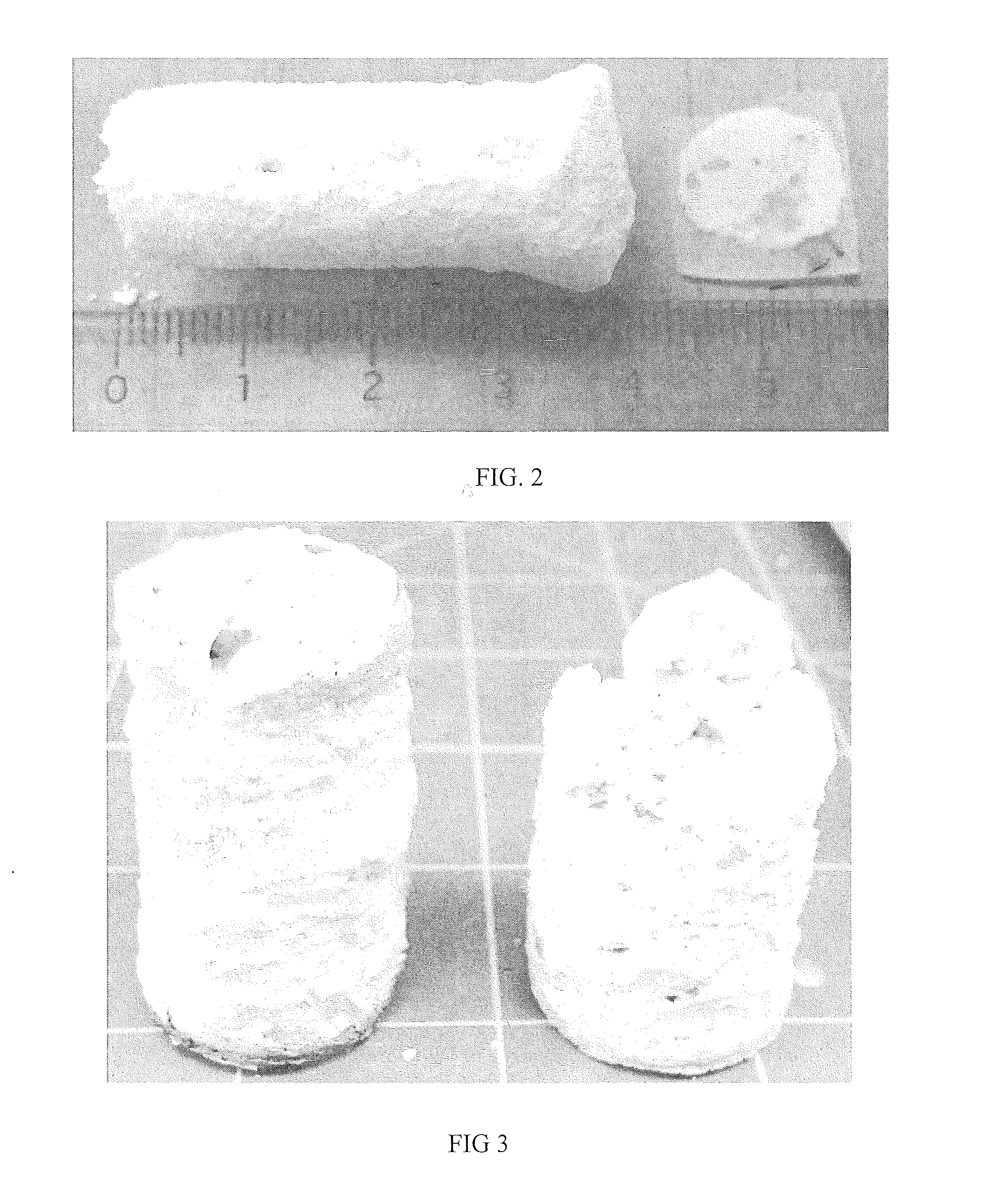 Combustion synthesis of calcium phosphate constructs and powders doped with atoms, molecules, ions, or compounds