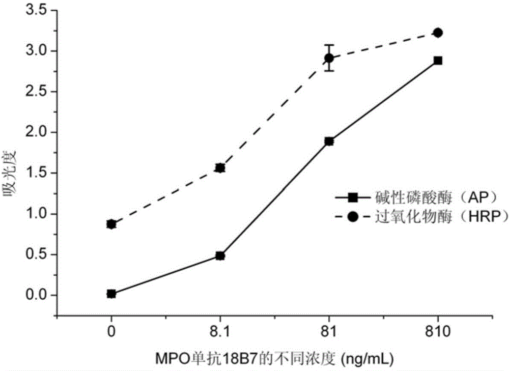 Myeloperoxidase quantitative determination method and detection reagent