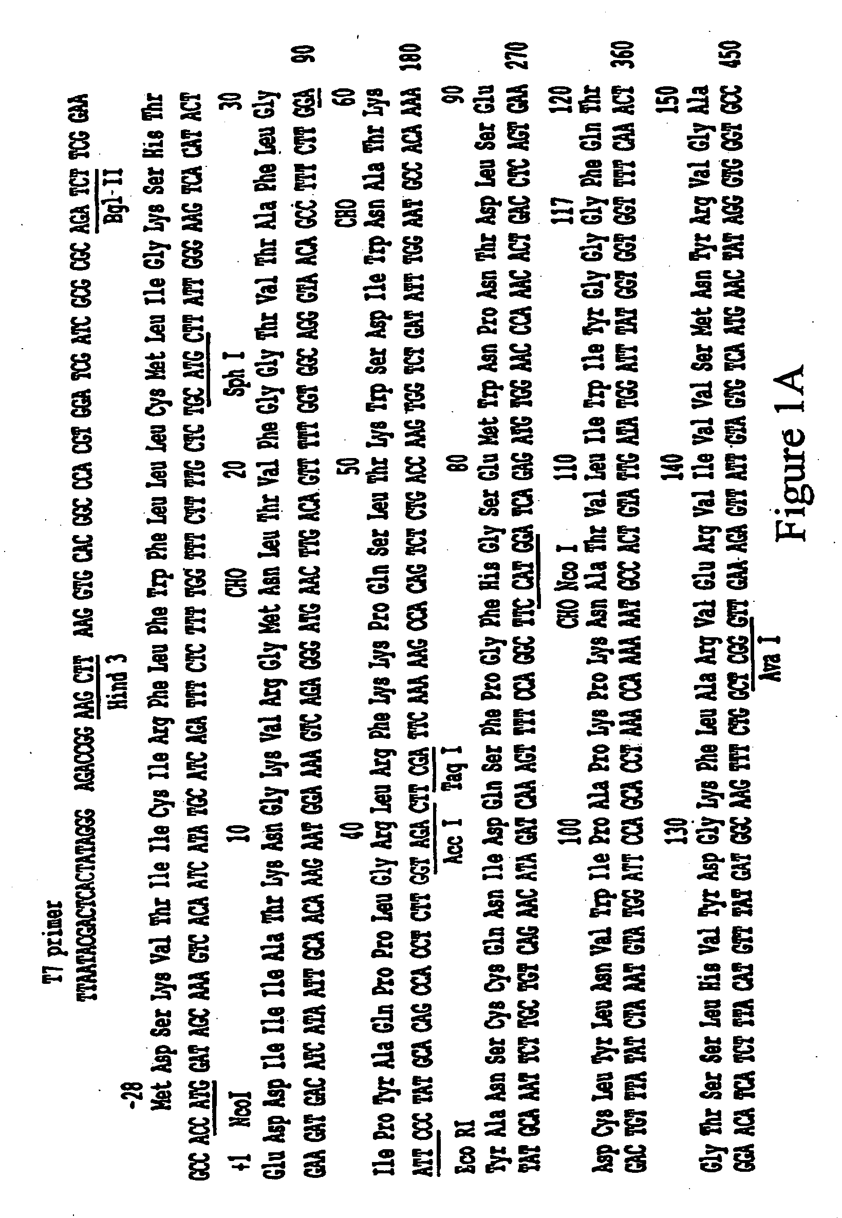 Butyrylcholinesterase variants and methods of use