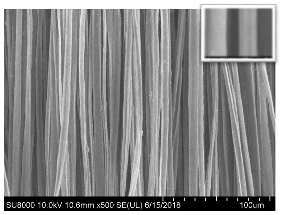 A kind of preparation method of oriented conductive hydrogel fiber material