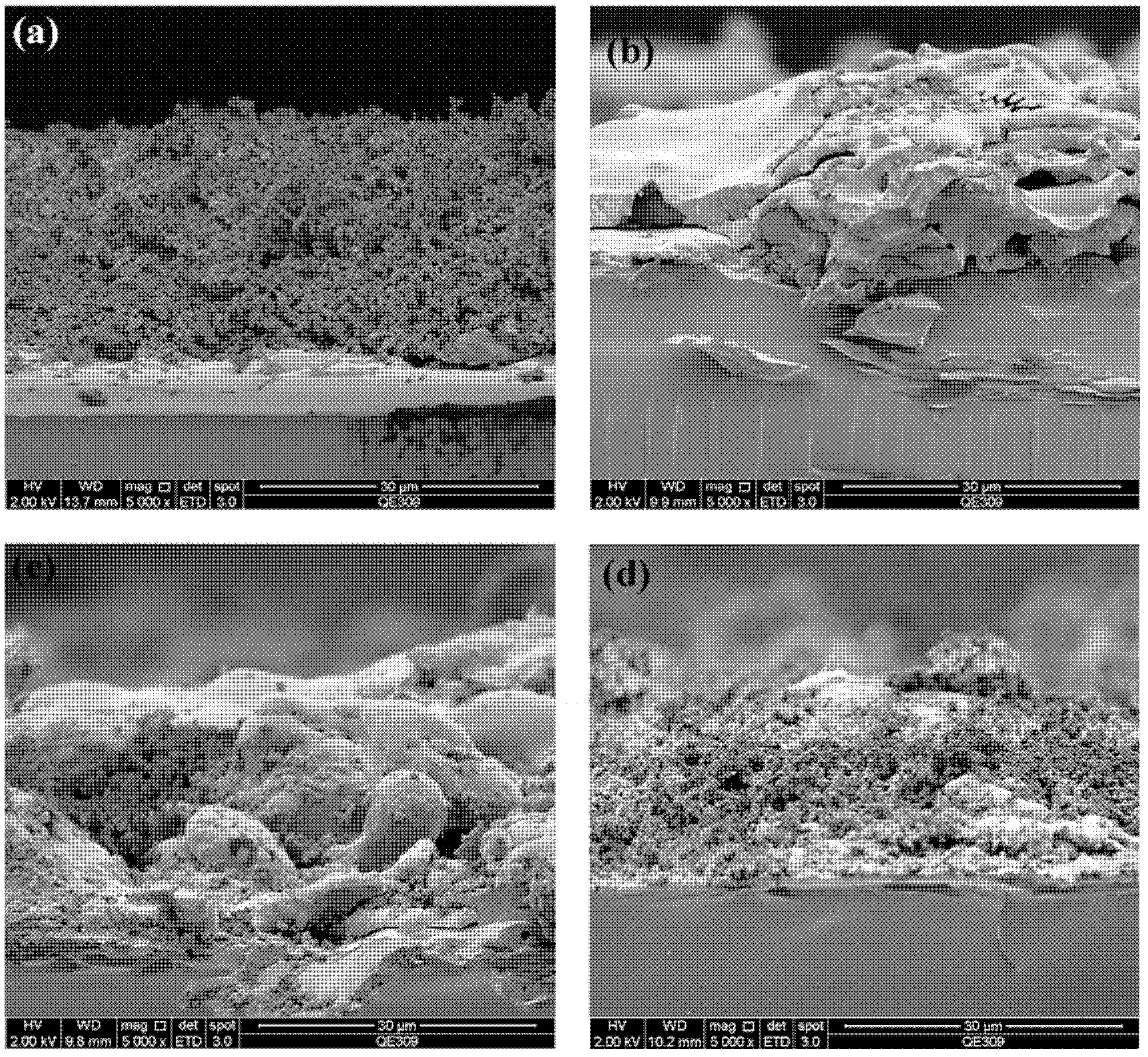 Micro-nanometer structure TiO2 coating with high hardness and high adhesion force as well as preparation method thereof