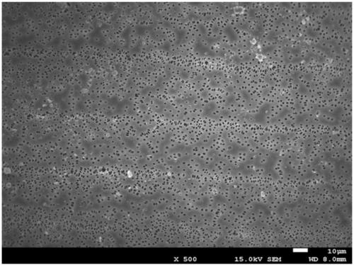 Porous diaphragm, preparation method thereof and lithium ion battery