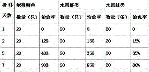 Chinese herbal medicine for treating fungal diseases of aquatic animals and preparation method thereof