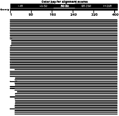 Method for detecting community structure and abundance of ammonia oxidizing bacteria in wastewater system