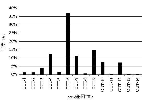 Method for detecting community structure and abundance of ammonia oxidizing bacteria in wastewater system