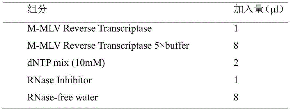 Hepatitis b/hepatic cirrhosis microRNA molecular marker combination and purpose thereof