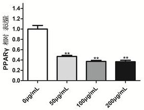 Application of carrageenan in inhibiting adipogenic transformation of mesenchymal stem cells