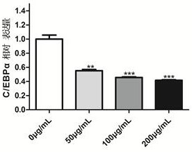 Application of carrageenan in inhibiting adipogenic transformation of mesenchymal stem cells