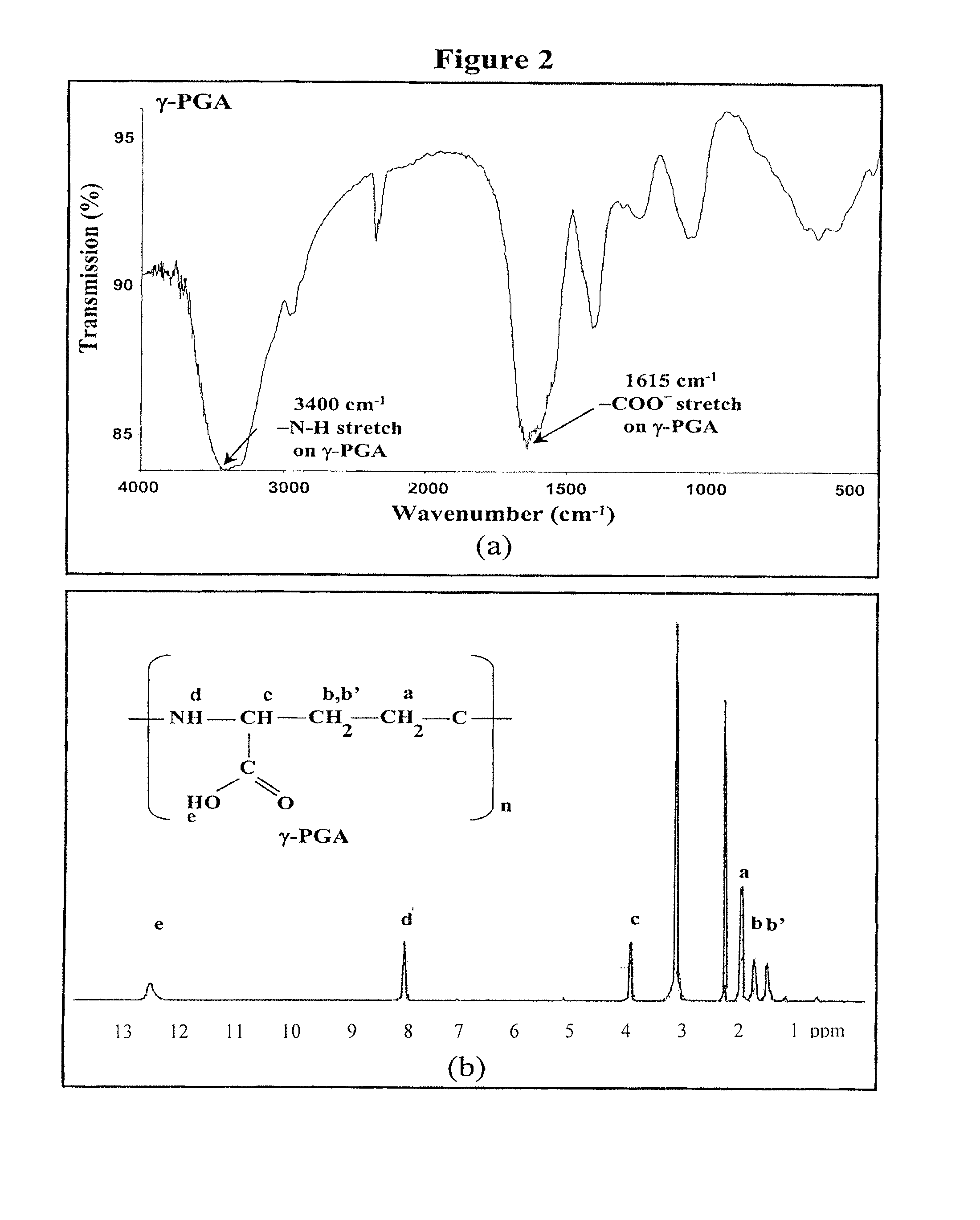 Pharmaceutical composition of nanoparticles for protein drug delivery