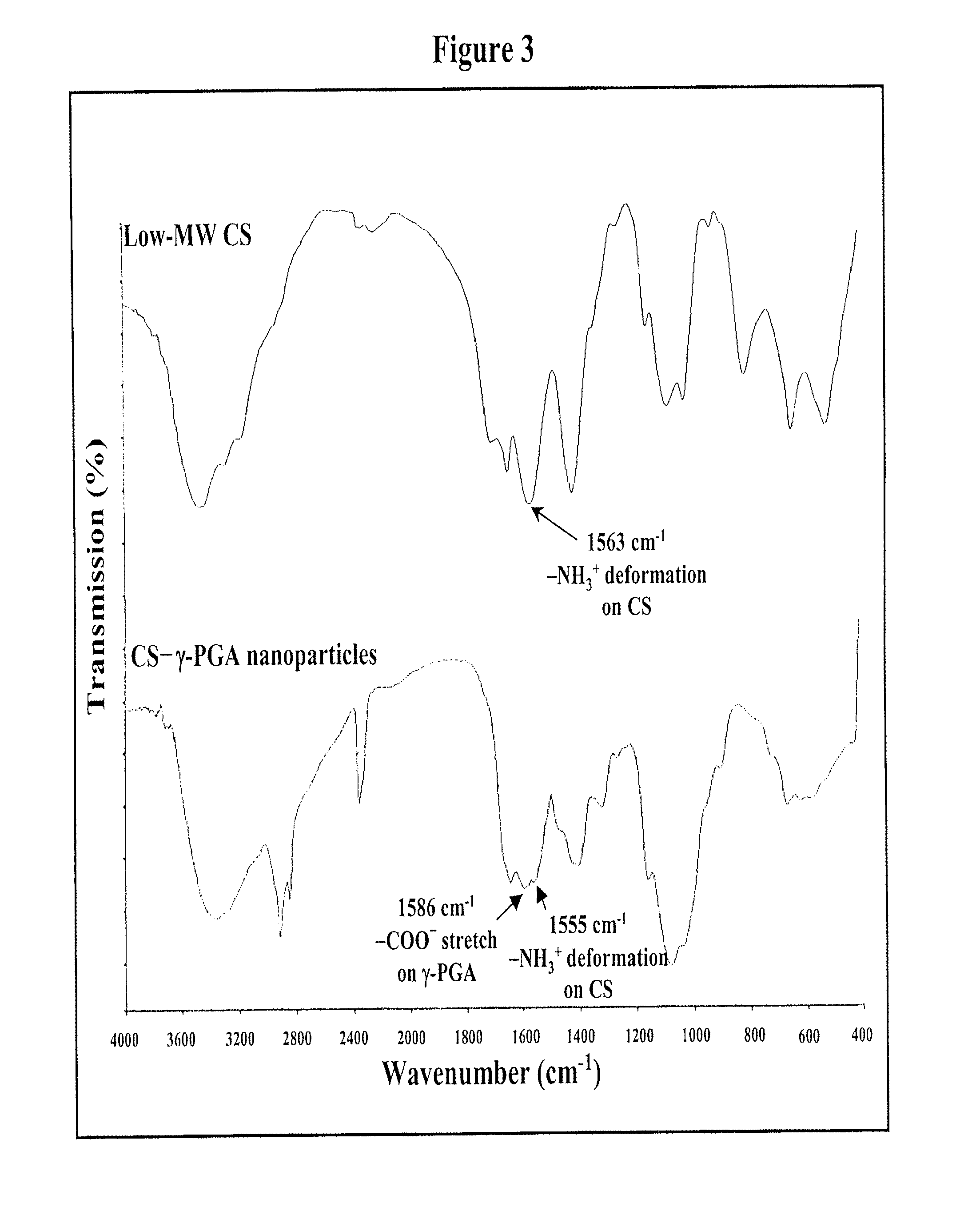 Pharmaceutical composition of nanoparticles for protein drug delivery