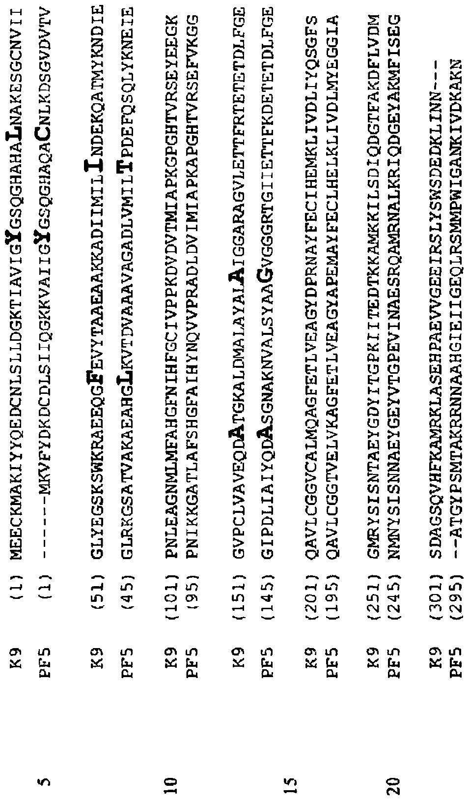 Host cells and methods for isobutanol production