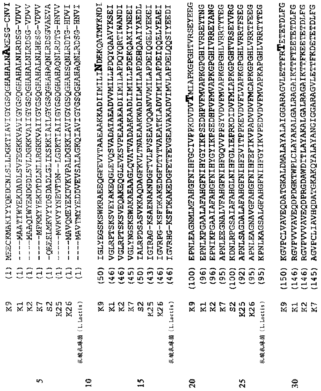 Host cells and methods for isobutanol production