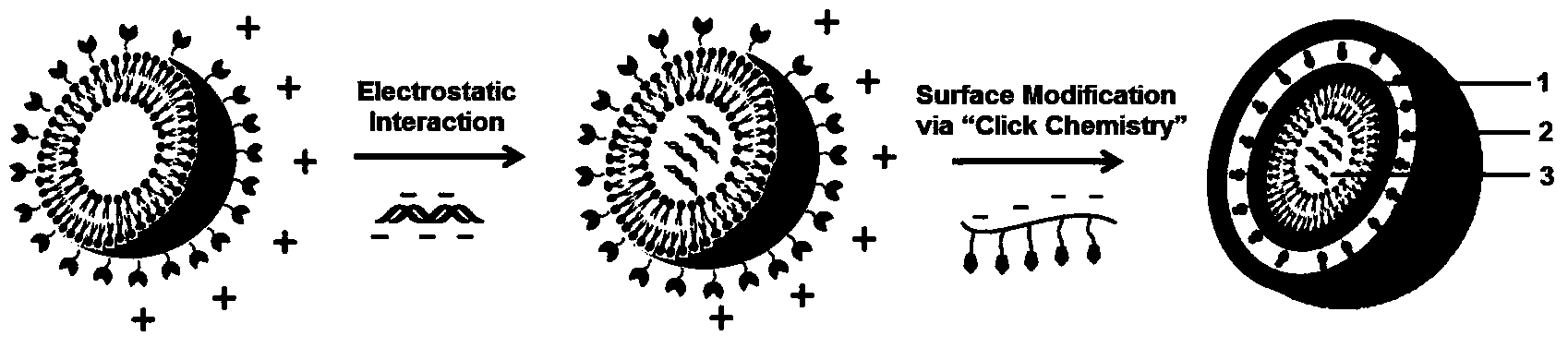 Gene-therapy drug delivery system based on cooperative assembling