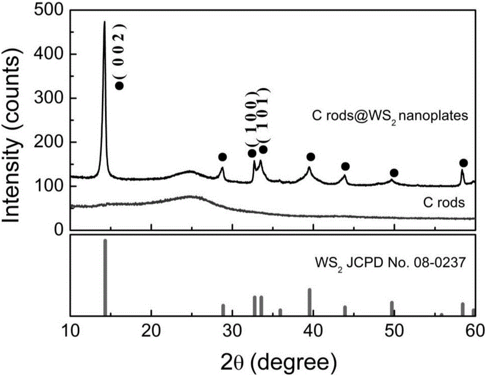 Carbon fiber@ tungsten disulfide nanosheet kernel-shell composite structure and preparation method thereof