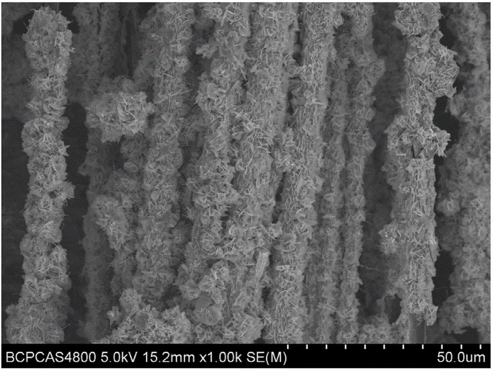 Carbon fiber@ tungsten disulfide nanosheet kernel-shell composite structure and preparation method thereof