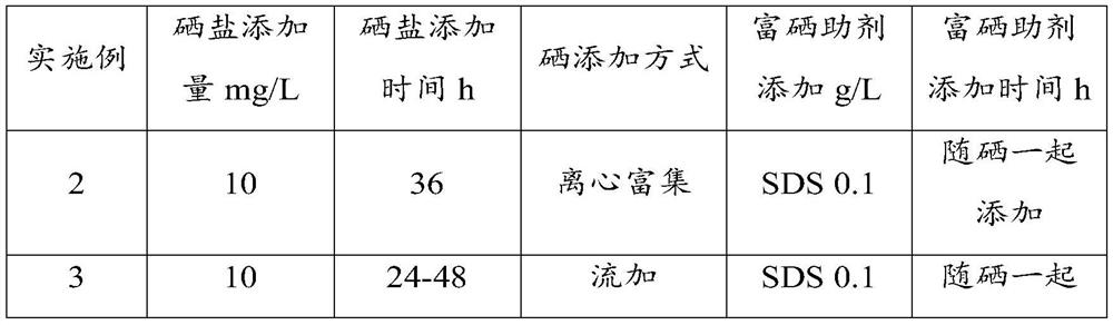 Selenium-enriched arachidonic acid oil product, selenium-enriched Mortierella alpina and preparation method