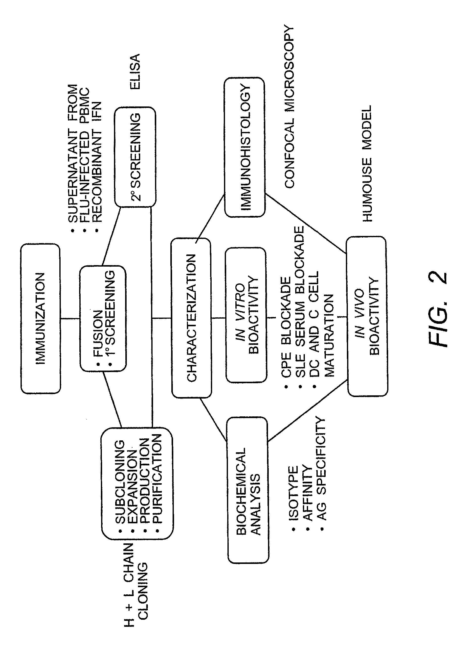 Anti-interferon alpha monoclonal antibodies and methods for use