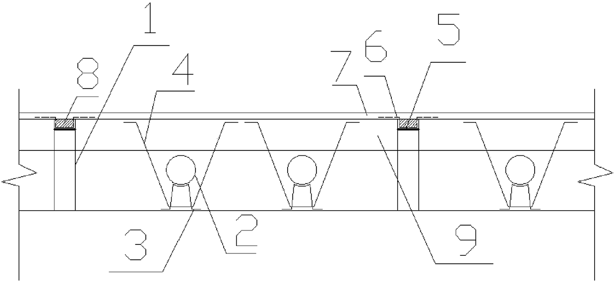 Basement floor structure