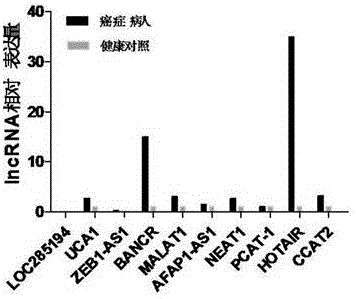 LncRNA composition for detecting prognosis of early esophageal cancer and kit comprising LncRNA composition