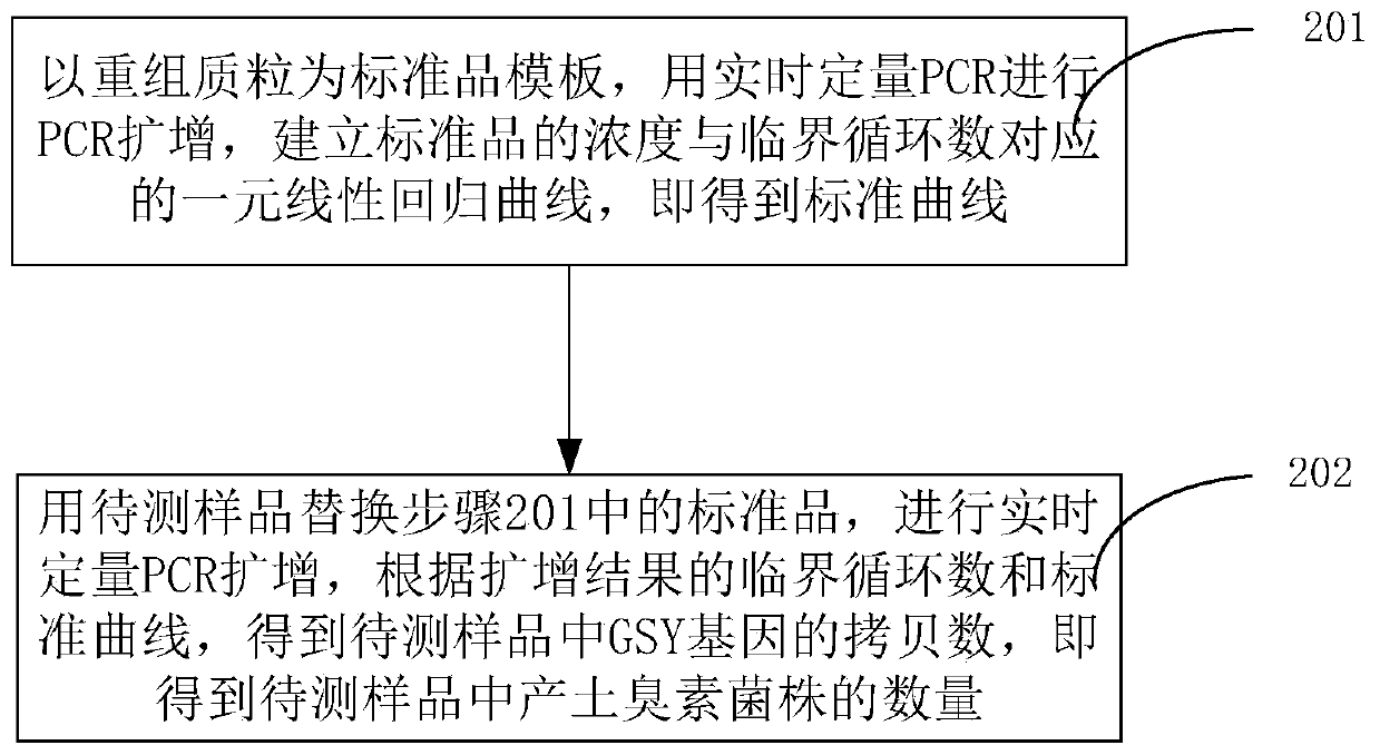 Standard substance for quantitatively detecting bacterial strains producing geosmin and preparation and detection method