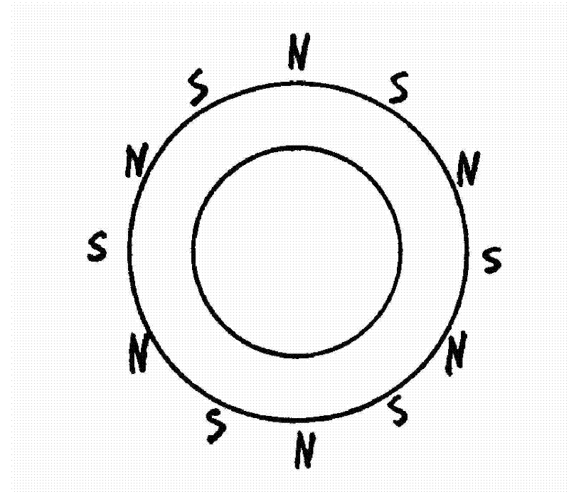 Method for manufacturing anisotropic multi-pole magnetic ring through dry-press forming