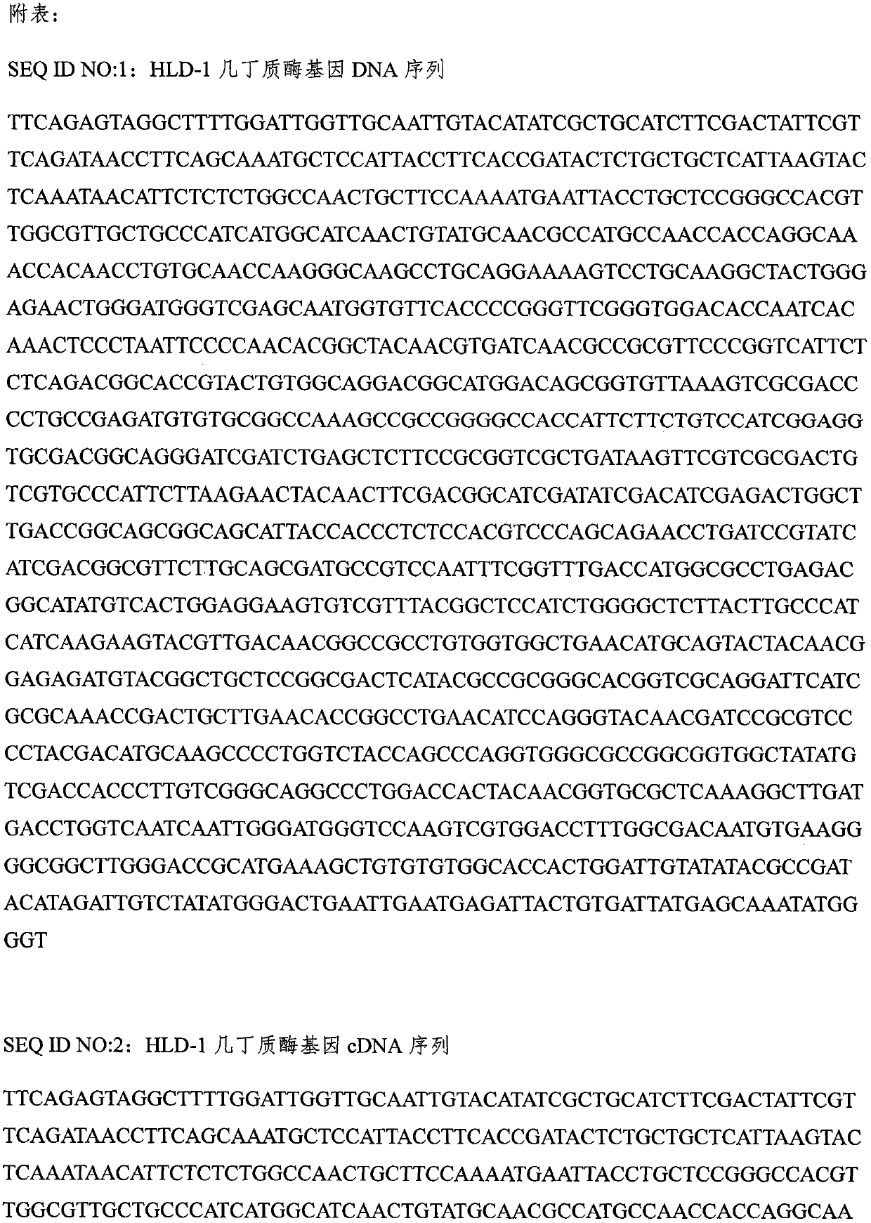 A kind of chitinase gene-transferred Clonospora pinkhelix engineering strain and its application