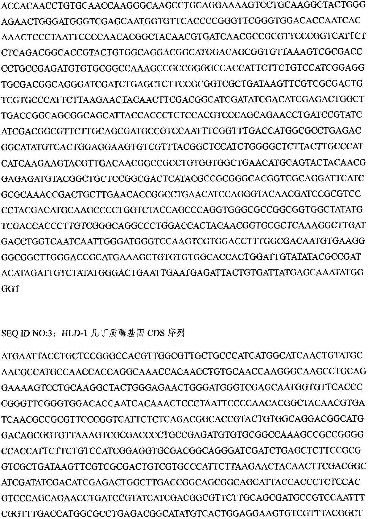 A kind of chitinase gene-transferred Clonospora pinkhelix engineering strain and its application