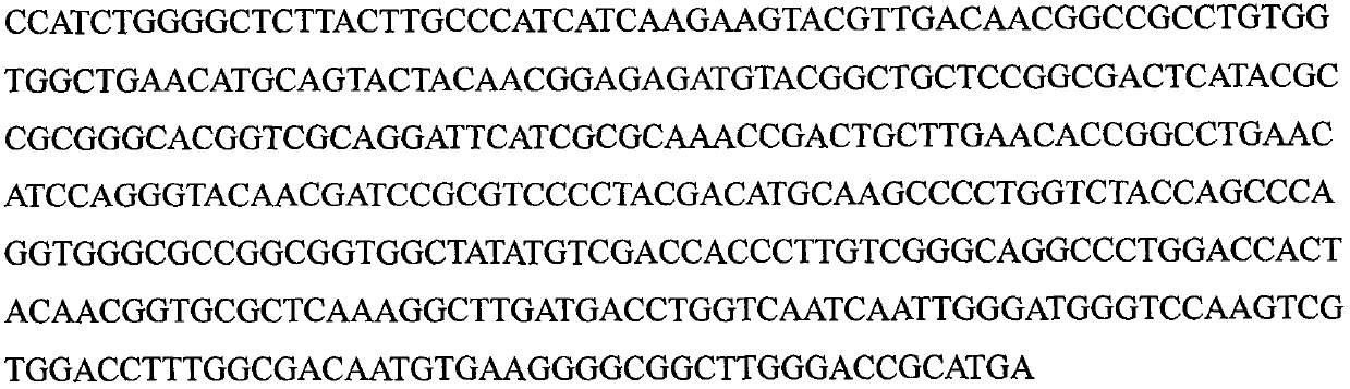 A kind of chitinase gene-transferred Clonospora pinkhelix engineering strain and its application