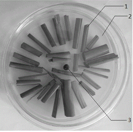 Long-time preservation method of magnaporthe oryzae strain