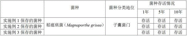 Long-time preservation method of magnaporthe oryzae strain