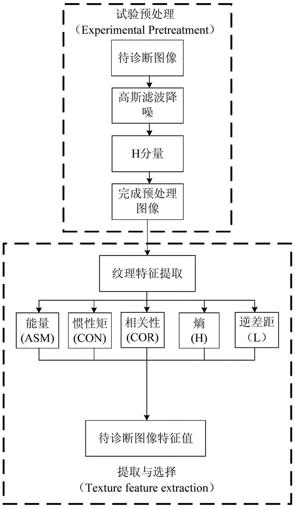 Disease diagnosis method for leaf vegetables