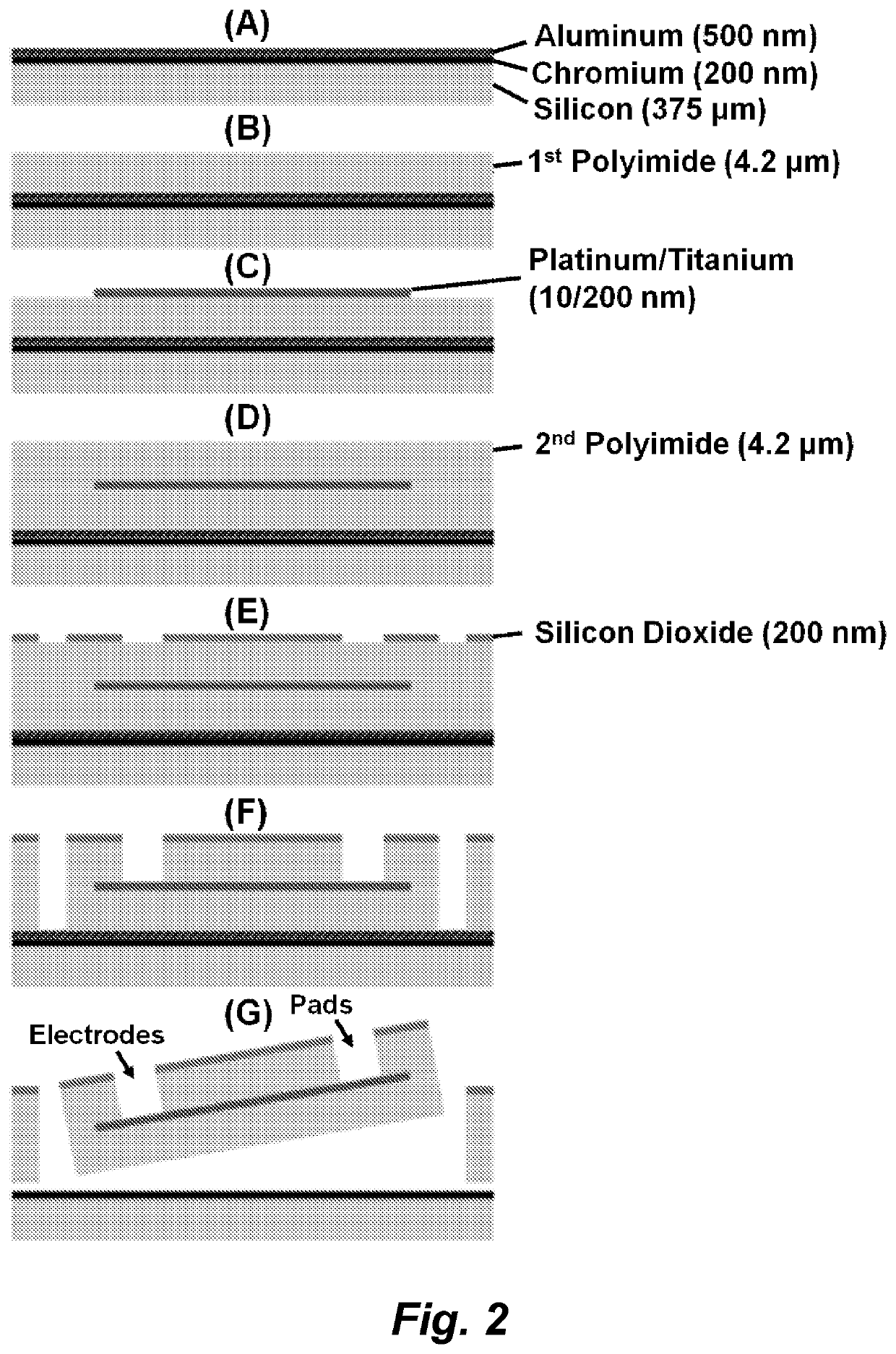 Multi-electrode array for spinal cord epidural stimulation