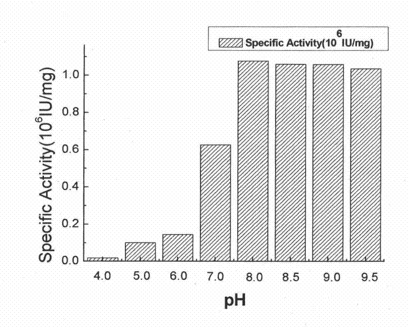 Protease, preparation method of same, as well as application and pharmaceutical formulation thereof