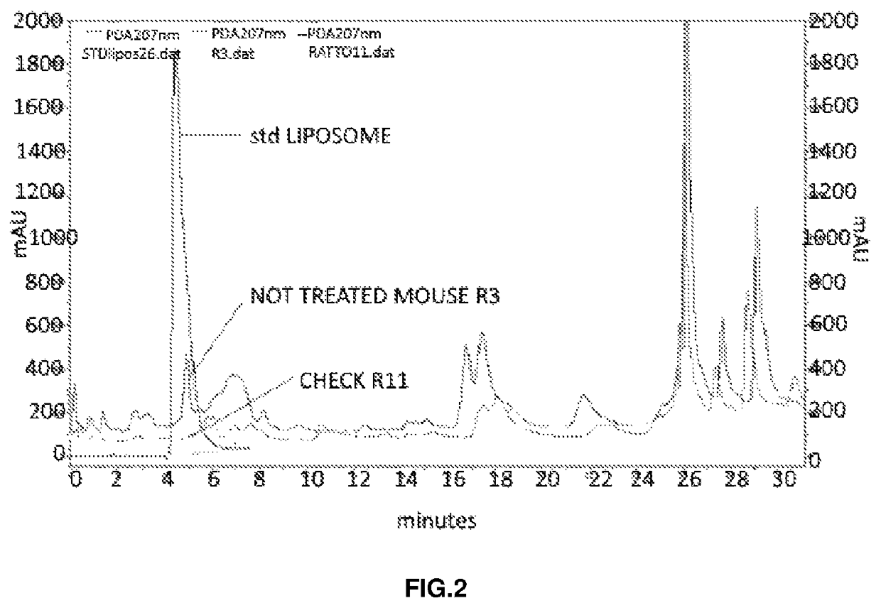 Ophthalmic formulation comprising citicoline carried by liposome for the treatment of glaucoma