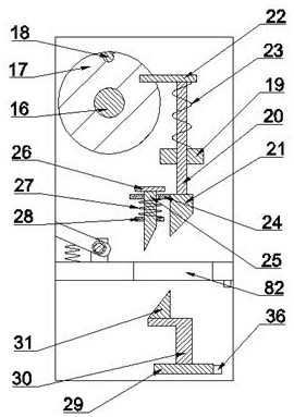 Device for automatically processing edible bullfrog