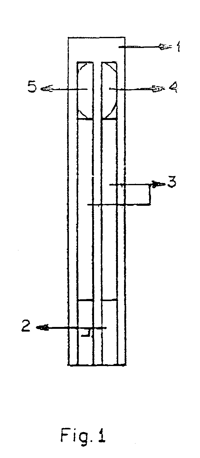 Lactate biosensing strip with two electrodes