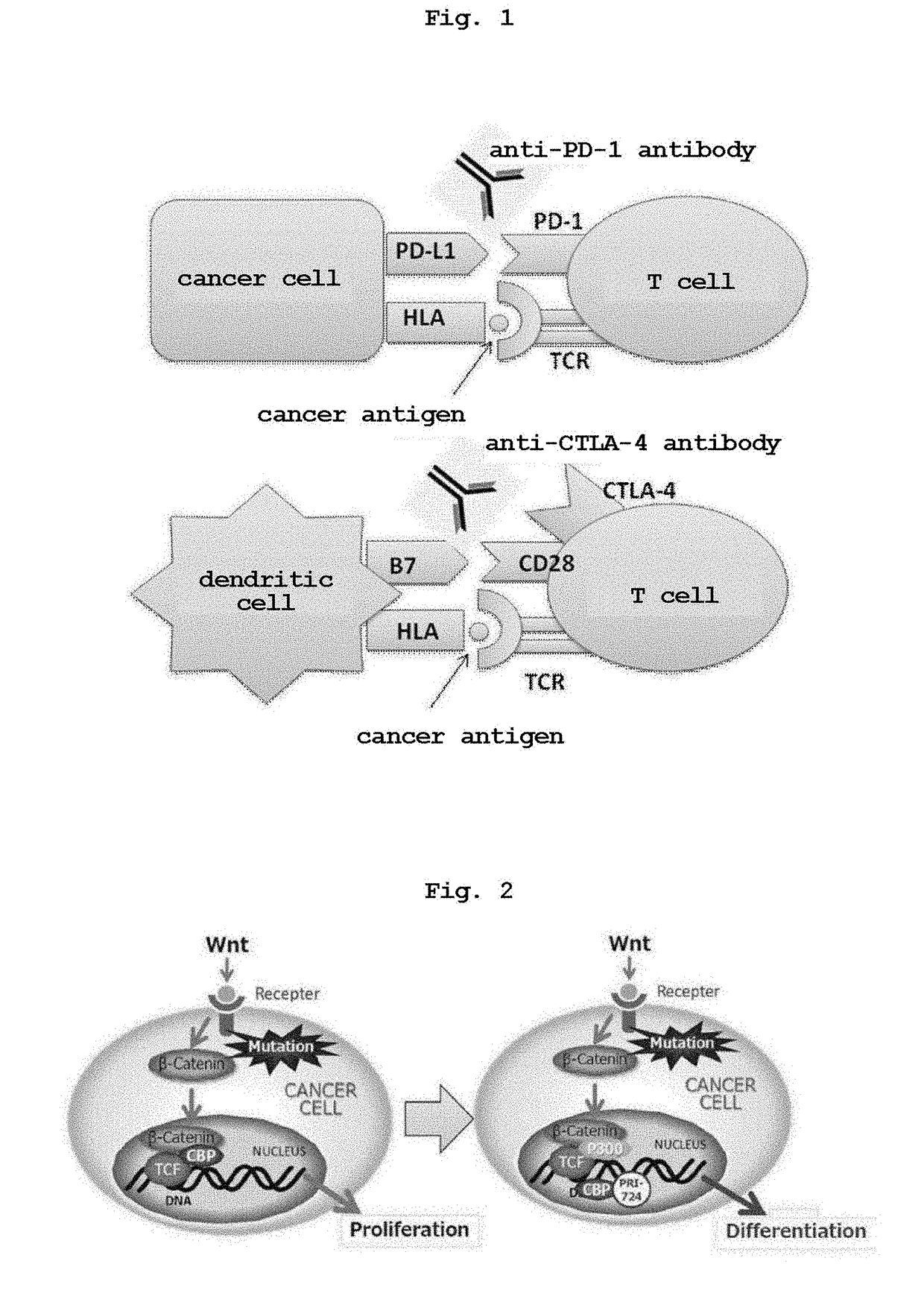 Anticancer agent