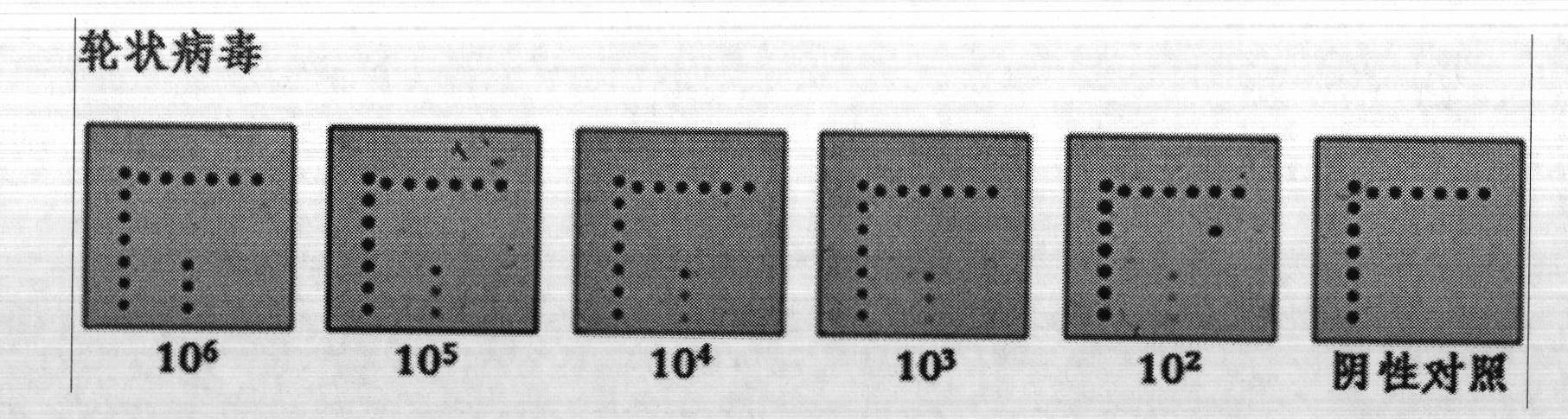 Molecule detection signal amplification technique