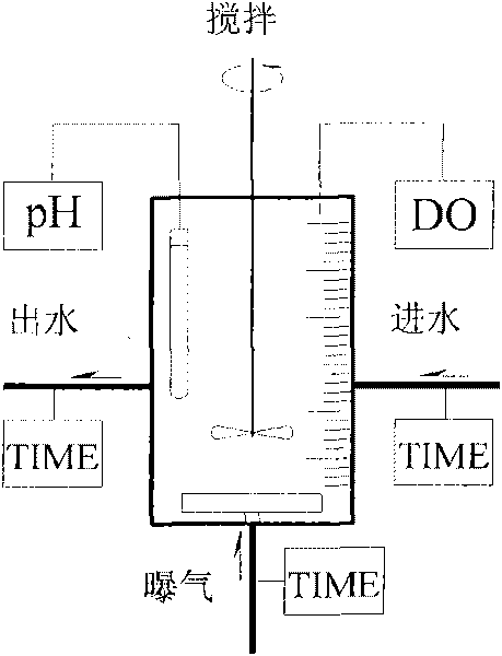 Method for synthesizing polyhydroxy alkanoates by excess sludge in water treatment