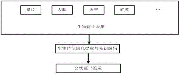 A Biometric-Based Identity Fusion Authentication Method