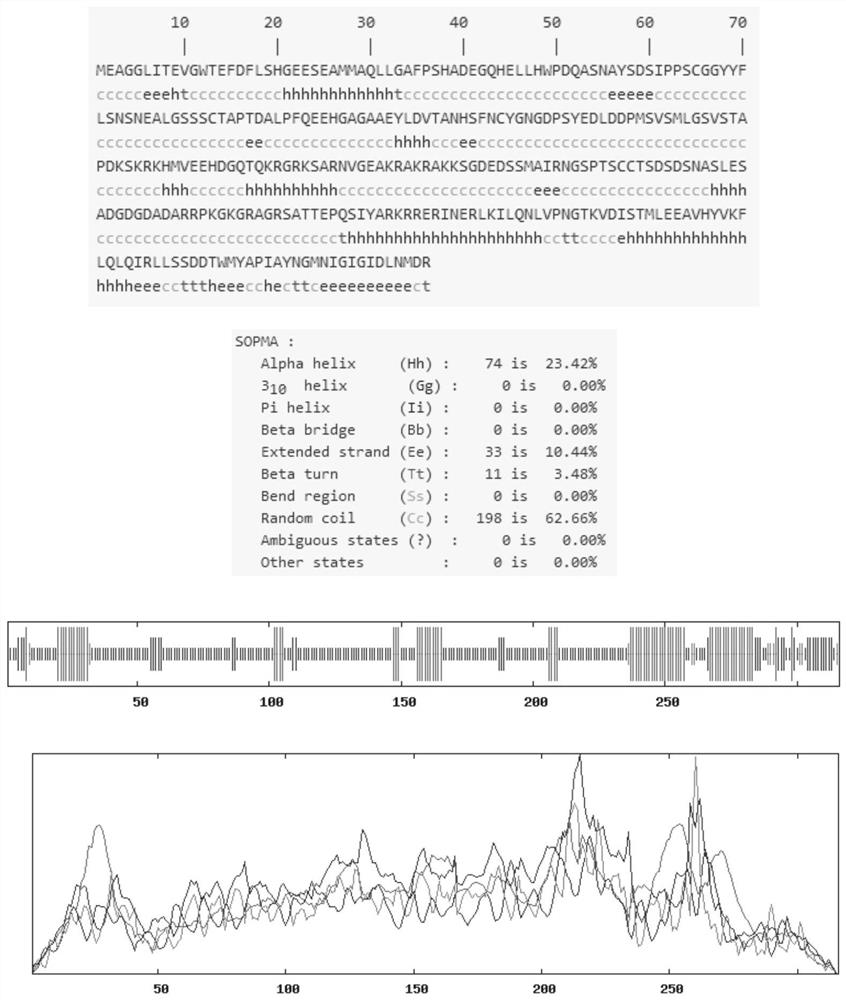 Application of stress resistance related protein bHLH85 in regulation of plant stress resistance