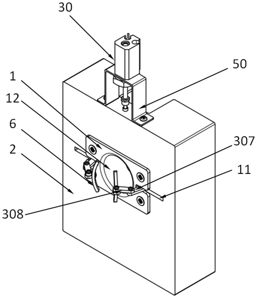 A kind of pigeon automatic feeding system